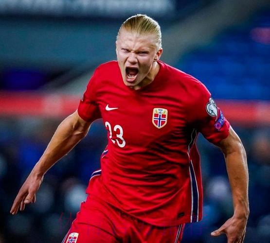 最新世界杯德国哈兰德比赛时间深度解读